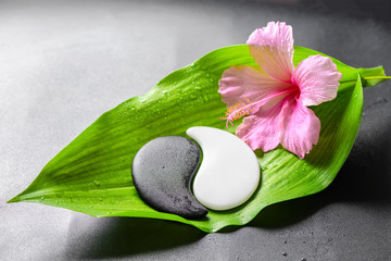 Celibacy flower: truth or fiction Celibacy flower: truth or fiction